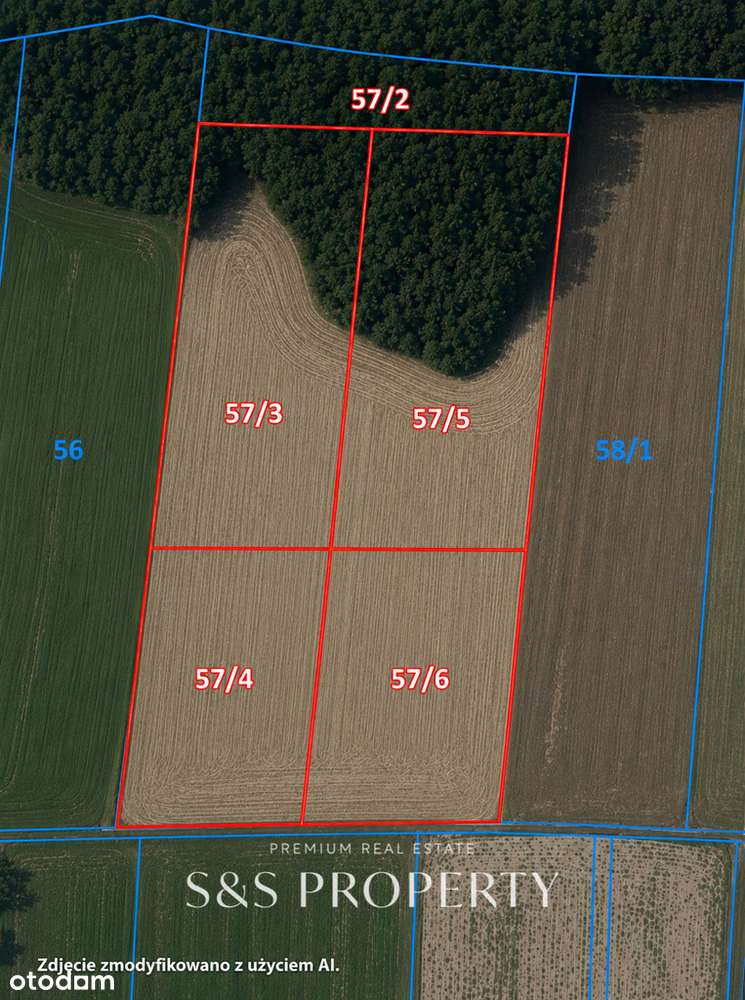 0,77 HA |  Działki z PNB | NIEPRZEŚNIA-7