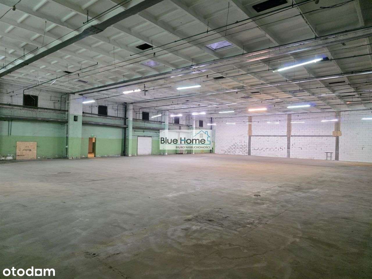 Oferta Inwestycyjna Premium-5