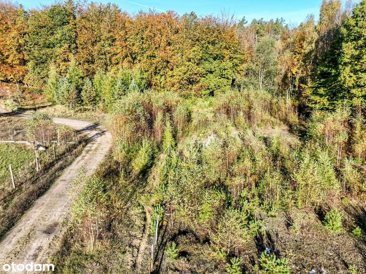 Lokalizacja to najważniejszy parametr - wiosną już można budować dom-17