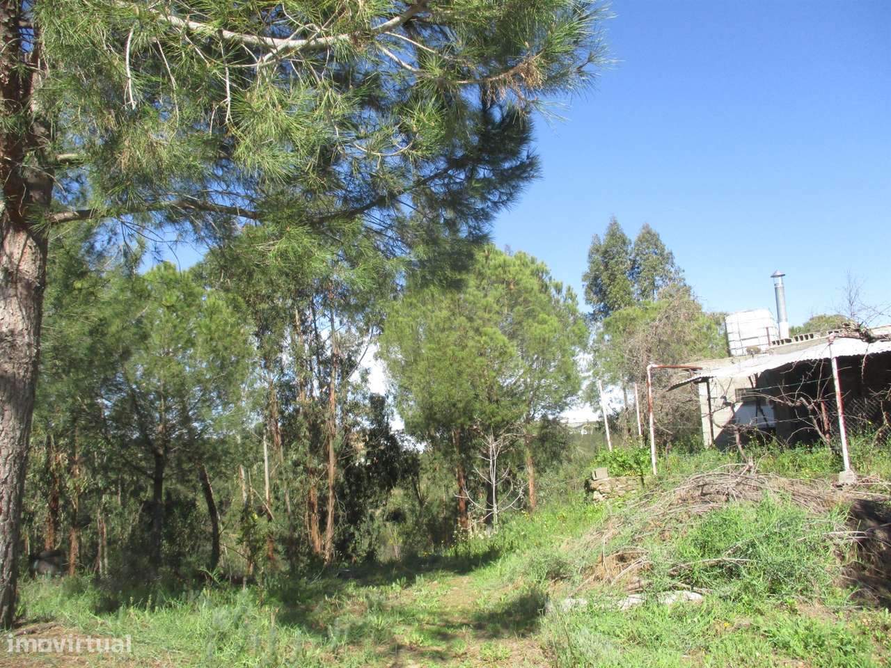 Quinta T0 Venda em Castelo Branco,Castelo Branco-15