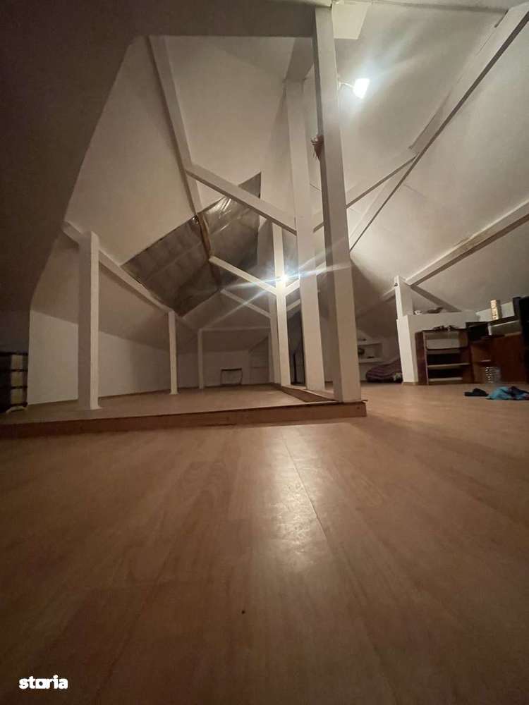 Vila P+1+M,Rahova,Salaj,parc Humulesti,250 teren,240 util,7 cam - Imagine principală: 4/13