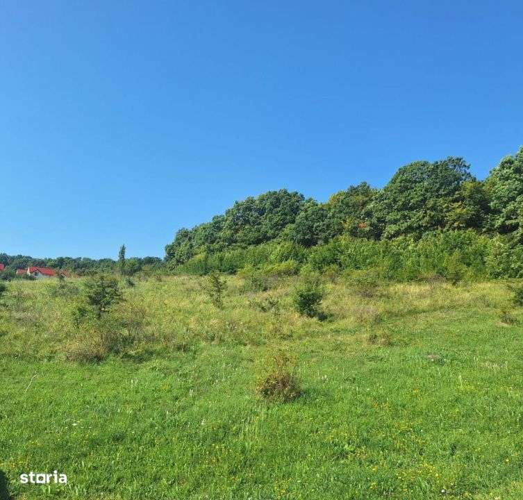 Teren in Chinteni langa padure 1425mp front 70ml - Imagine principală: 2/6