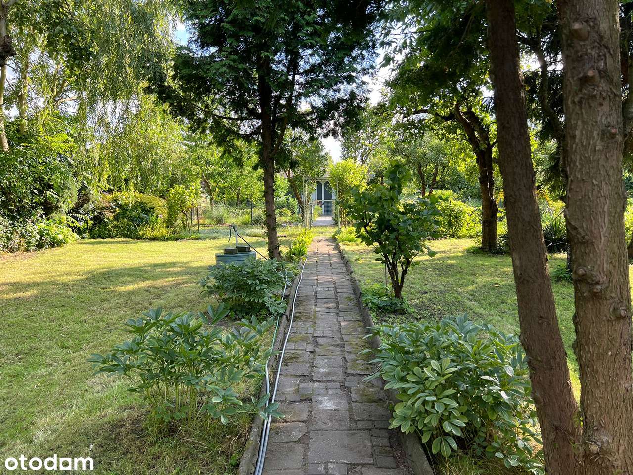 Działka ROD, Bogdanka, Pułaskiego, Sołacz, Rekreacja-4