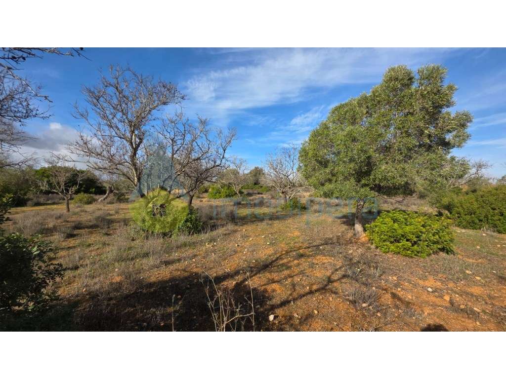 Terreno Rústico com 3730m2 em Guia, Albufeira-6