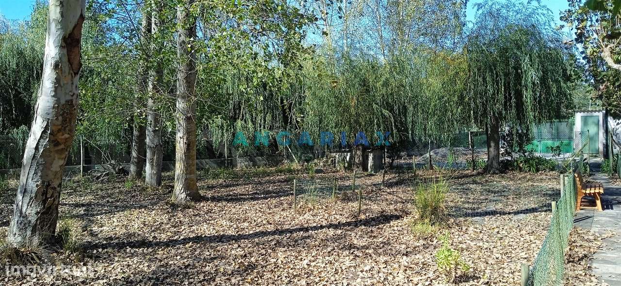 ANG1239 - Herdade para Venda em Vieira de Leiria - Grande imagem: 4/12