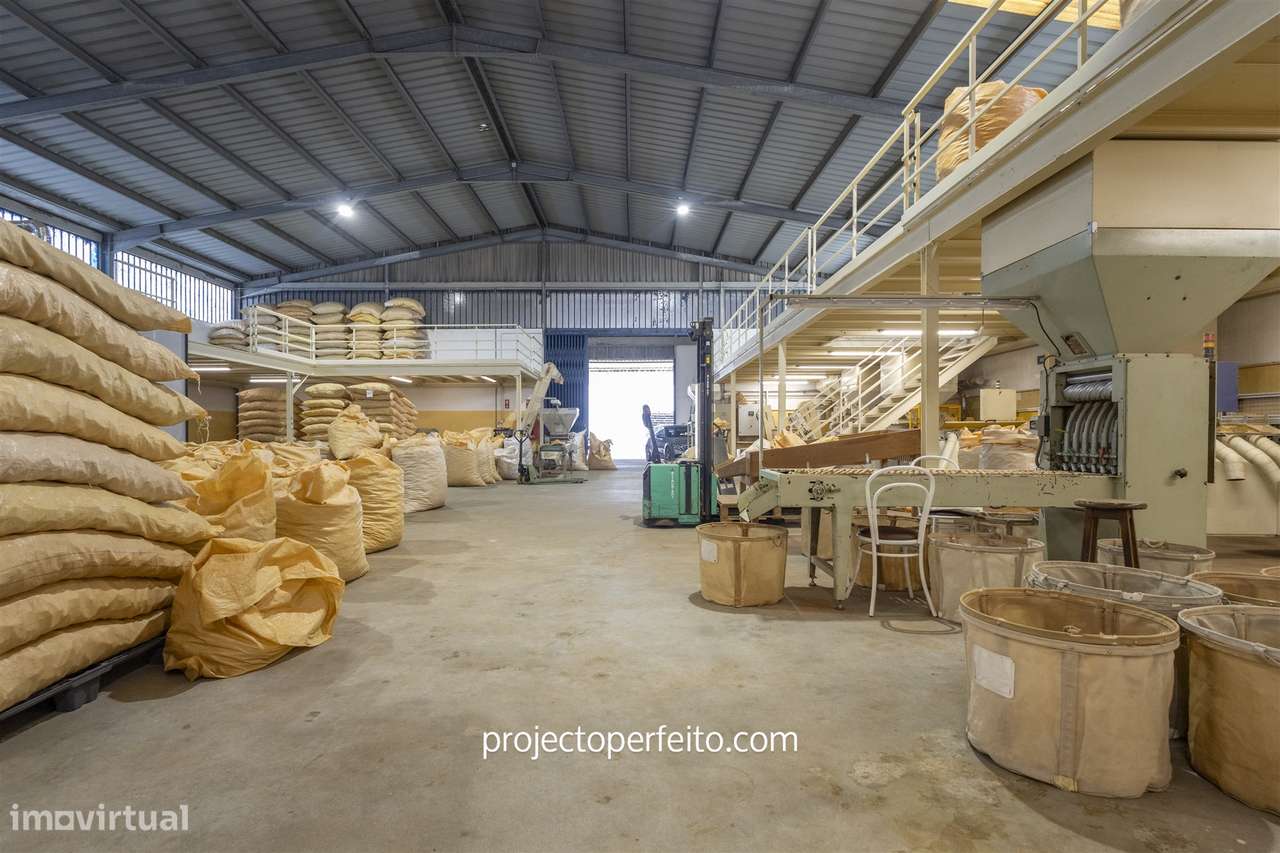 Fábrica/Indústria  Venda em Lourosa,Santa Maria da Feira - Grande imagem: 2/16