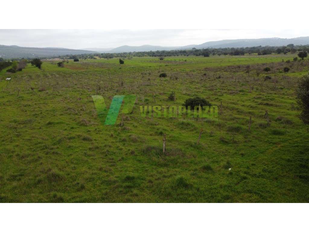 Lote de terreno rústico perto de Paderne, plano, vedado e com vista...-17