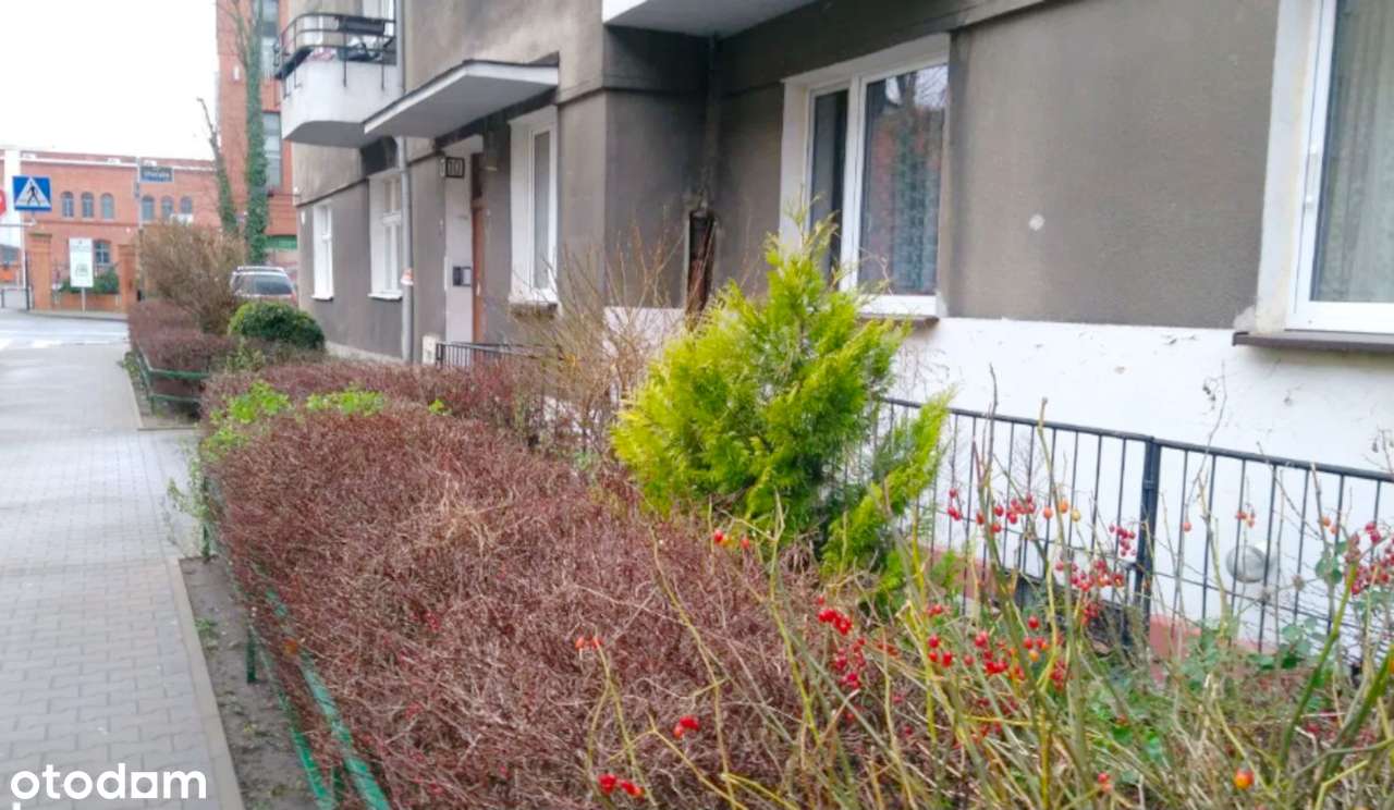 Lokal komercyjny z potencjałem w centrum Łazarza, do remontu! - Pełny obrazek: 5/7