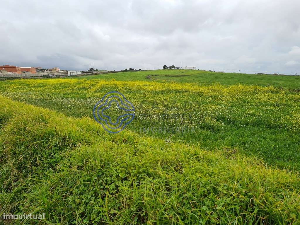 Terreno - 40.560m2 - São Domingos Rana - Cascais-9