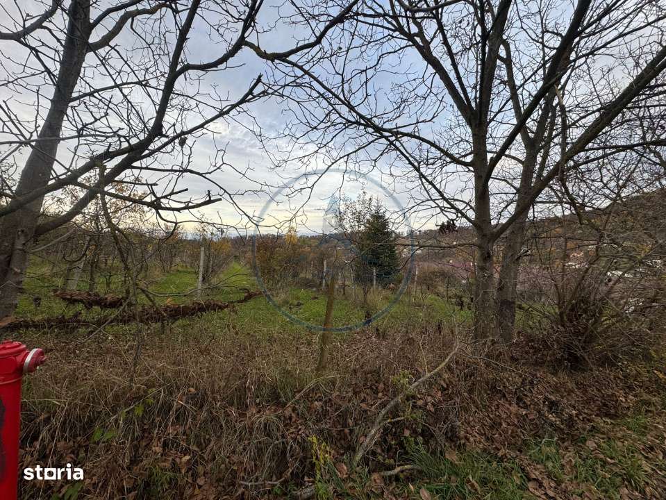 Teren intravilan 3.000 mp, 2 fronturi, Valea Jelnei - Imagine principală: 3/3