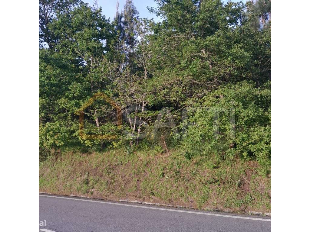 Terreno com excelente localização - Grande imagem: 4/4