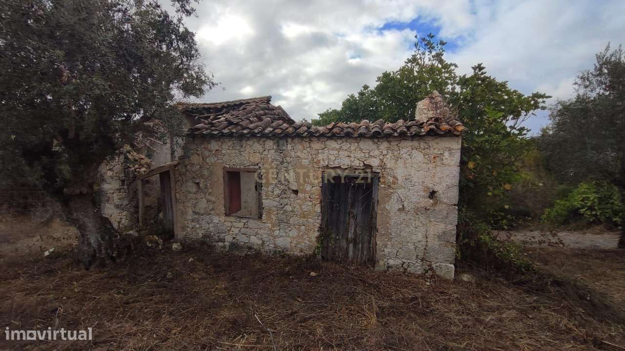 Terreno com casas antigas para Recuperação em São Vicente do Paul, San - Grande imagem: 4/18