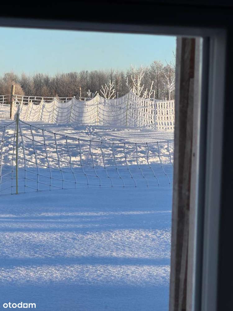 Urokliwe siedlisko na sprzedaż, Warmia-3