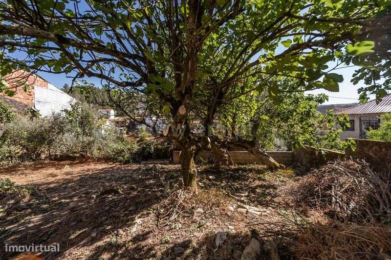 Moradia Geminada T1 / Fundão, Silvares - Grande imagem: 4/12