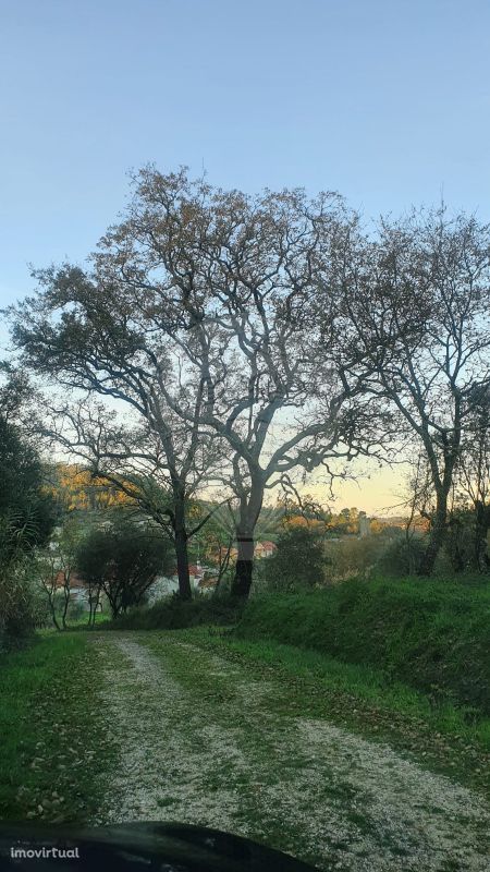 Terreno  para venda