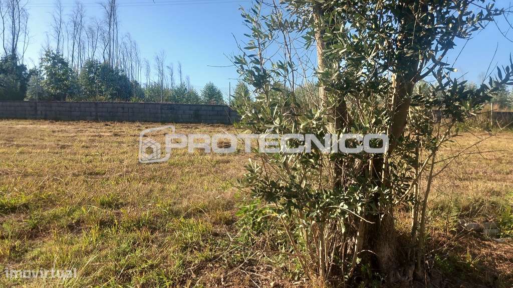 Terreno Urbano Assilhó - 630m2 - Grande imagem: 2/3