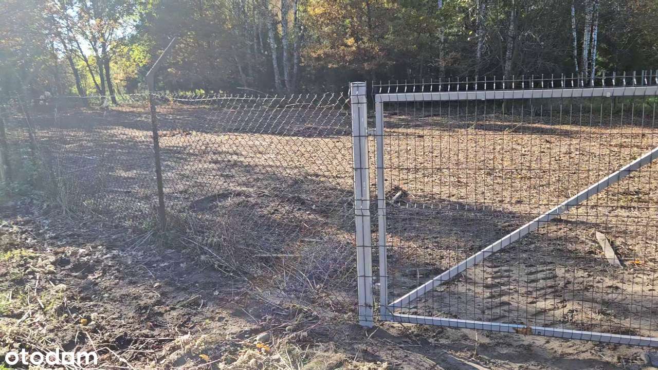 Działka w kolorach jesieni-7