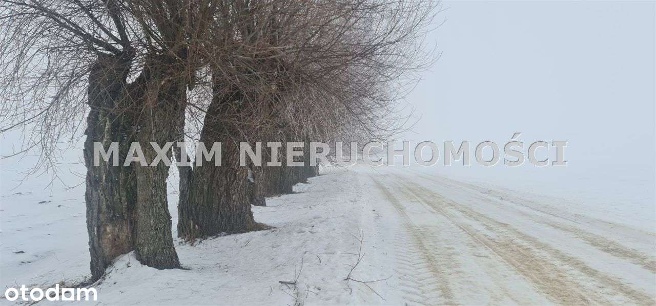Bardzo ciekawe stare Siedlisko -Bulkowo-11