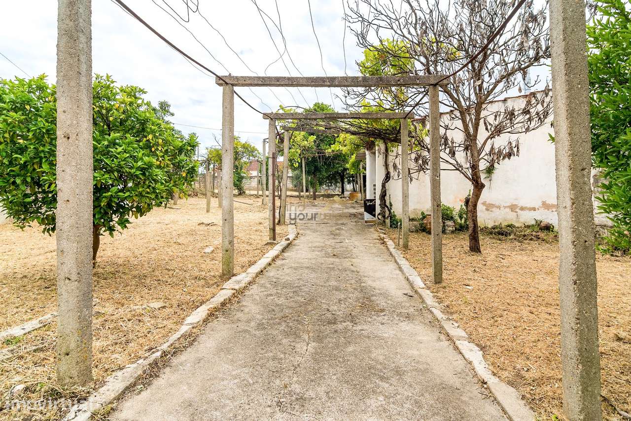 Moradia T3 com Terreno de 2.270m² no Centro do Entroncamento-34