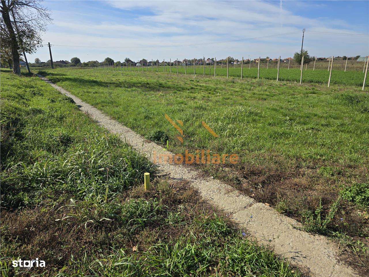 TEREN INTRAVILAN | 1400 MP | GIRISU DE CRIS - Imagine principală: 4/6