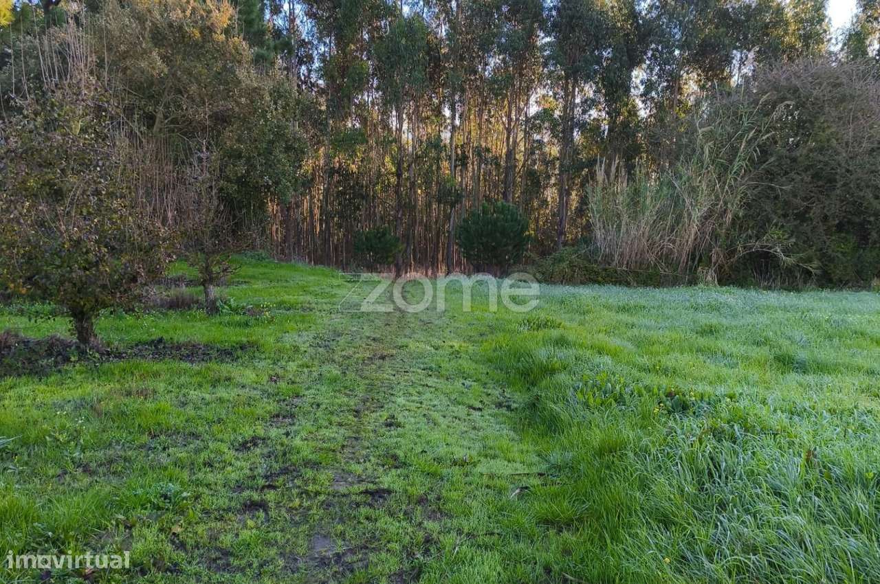 Terreno Urbanizável - Grande imagem: 3/24