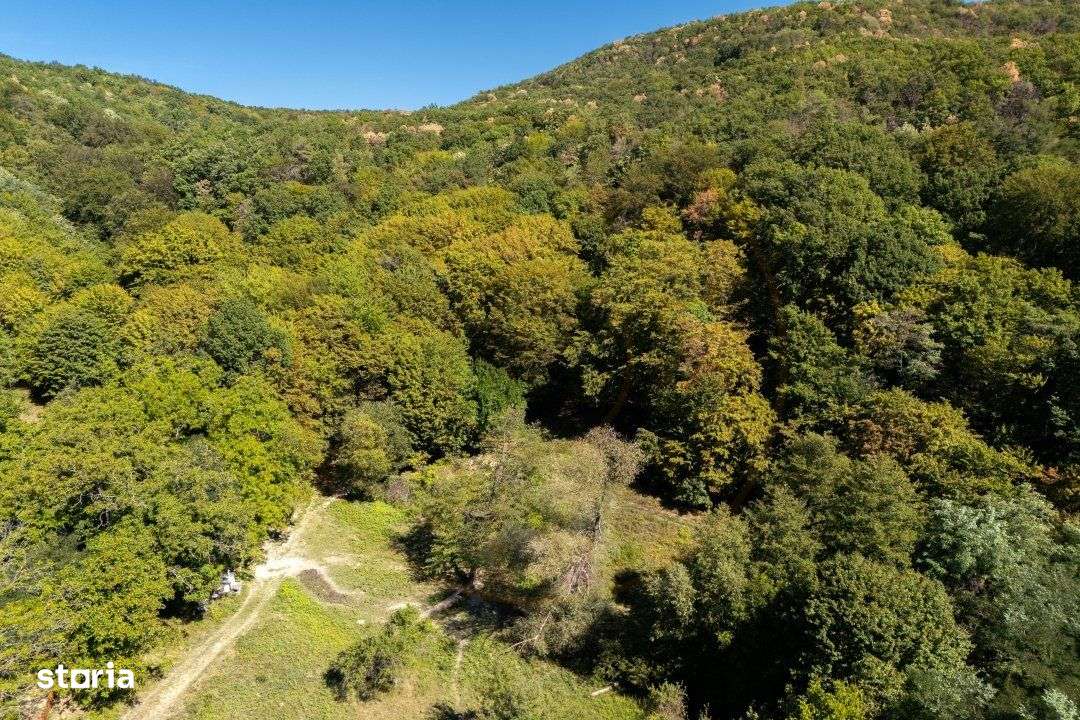 Terenuri 12.225 mp - Ramnicu Valcea, Aranghel - Imagine principală: 5/14