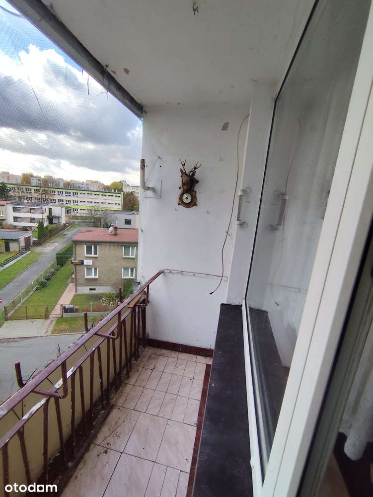 Zamieszkaj wśród zieleni – ciche i słoneczne mieszkanie na 4. piętrze - Pełny obrazek: 2/13