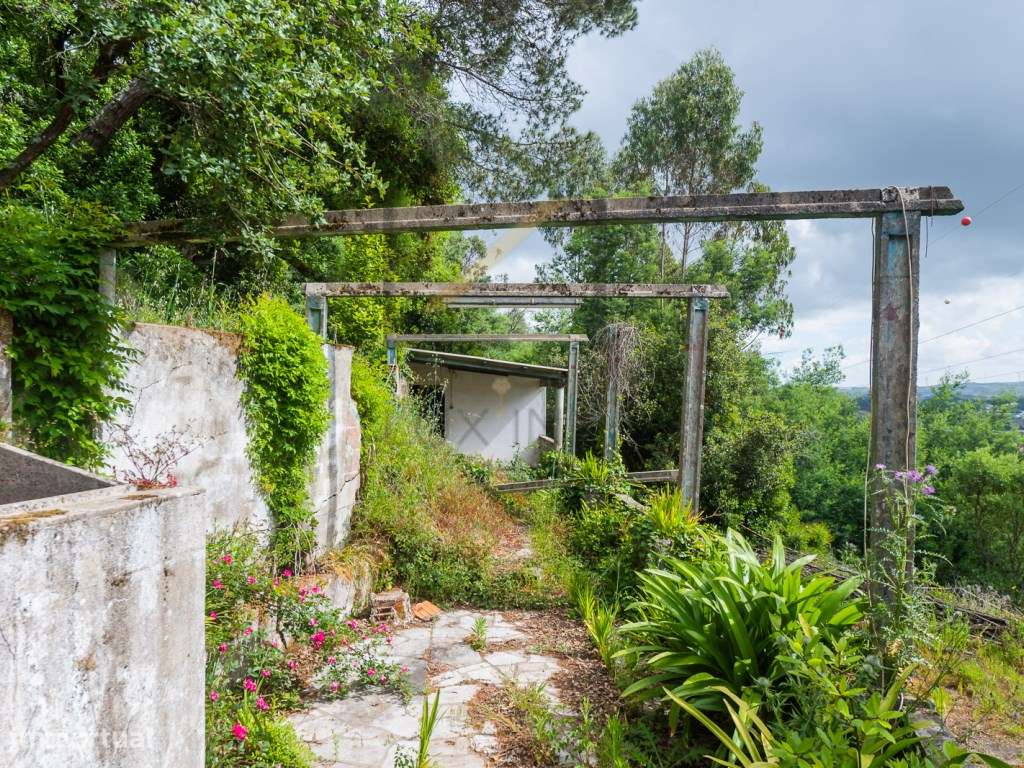 Quinta de 1 ha com moradia de 260 m2-31