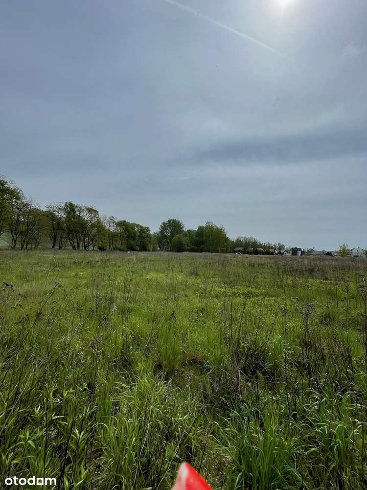 Działka 1,35 ha Kępa Zawadowska - Pełny obrazek: 4/5