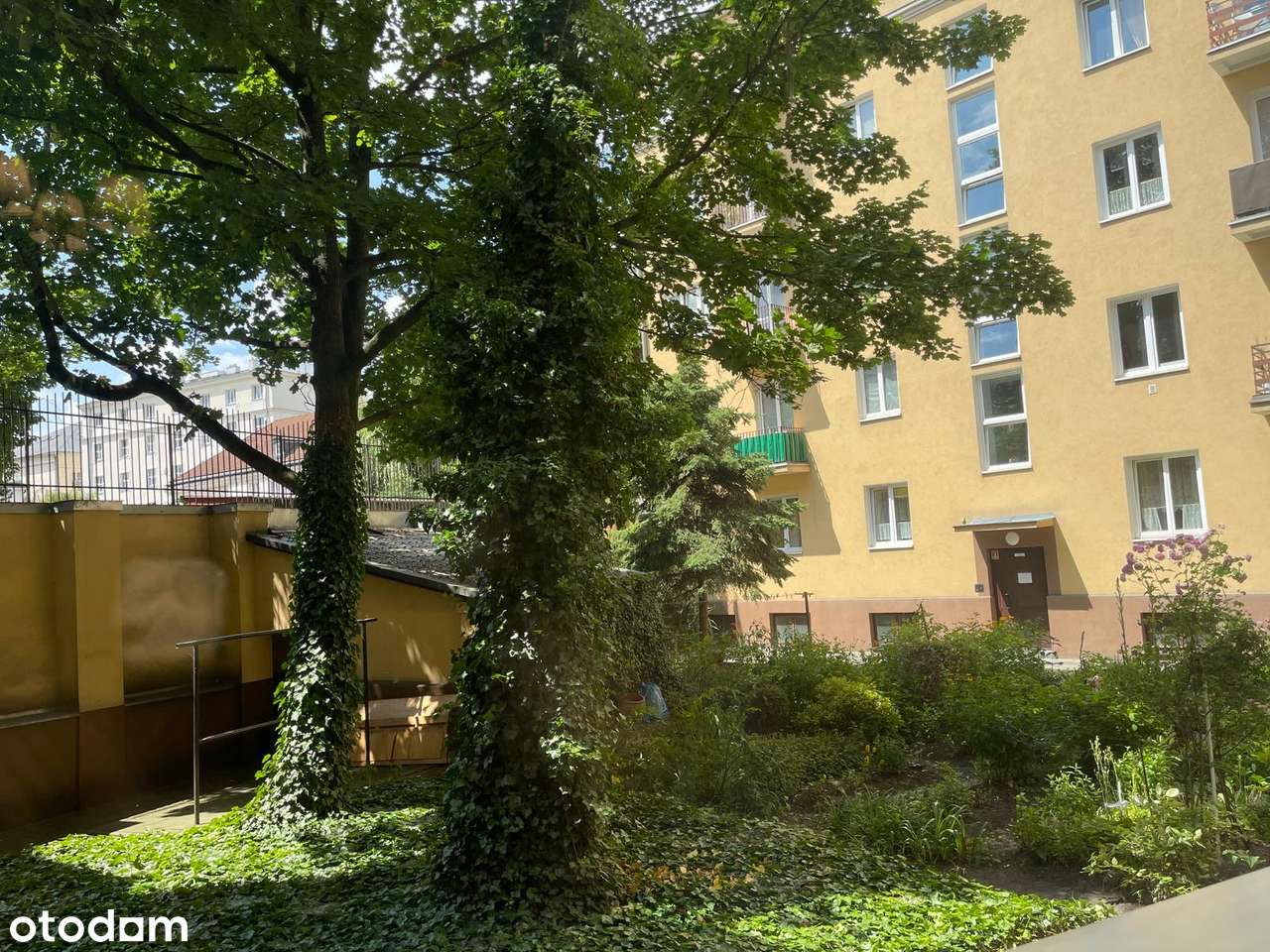 Kawalerka Stare Miasto - Pełny obrazek: 2/11