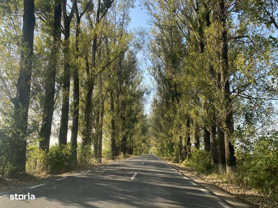 Teren rezidential retras langa lac SNAGOV in Silistea Snagovului, DN1, - Imagine principală: 4/11