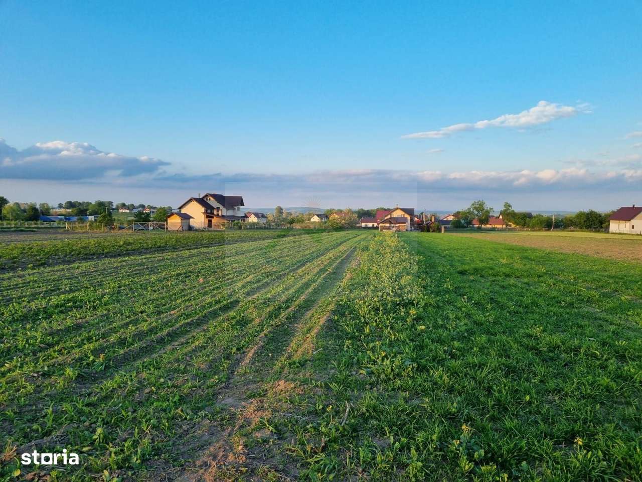 Teren intravila Ilișești - Imagine principală: 5/6