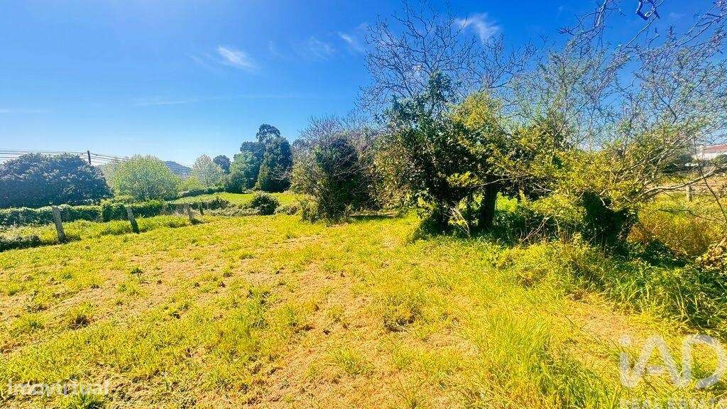 Terreno para construção em Santa Marta de Portuzelo - Grande imagem: 4/5