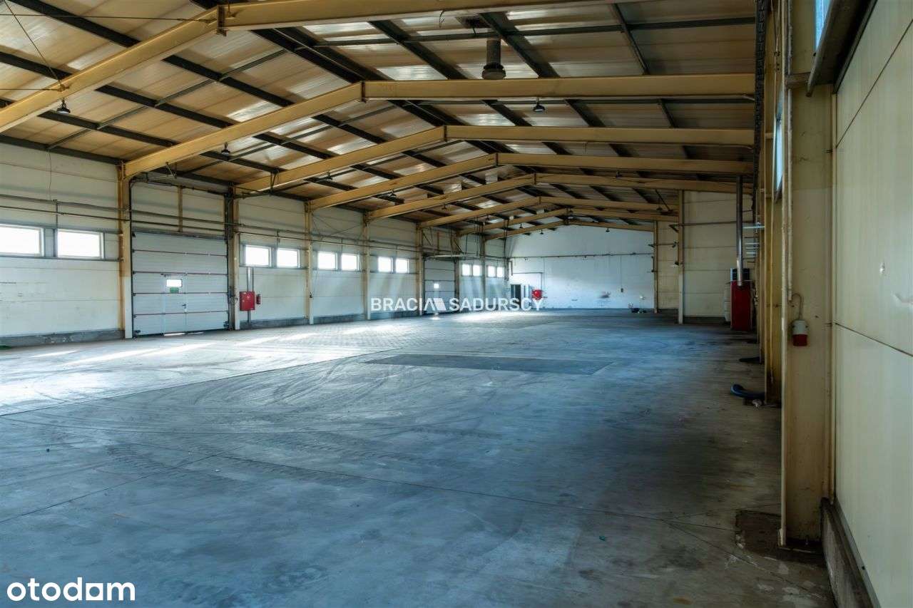 Hala 1000 m2 - Rybitwy Kraków - Pełny obrazek: 5/16