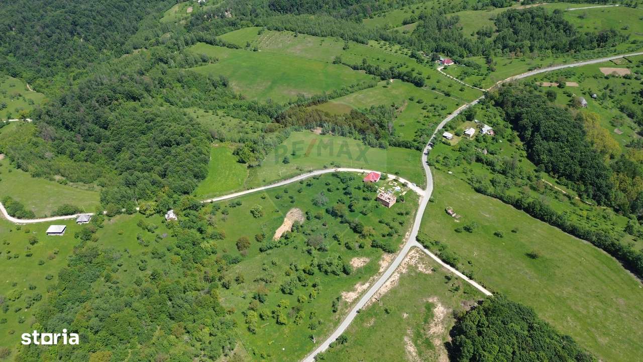 DE VÂNZARE – Teren intravilan 3 hectare, in Codrul Butesii, Maramures - Imagine principală: 5/5