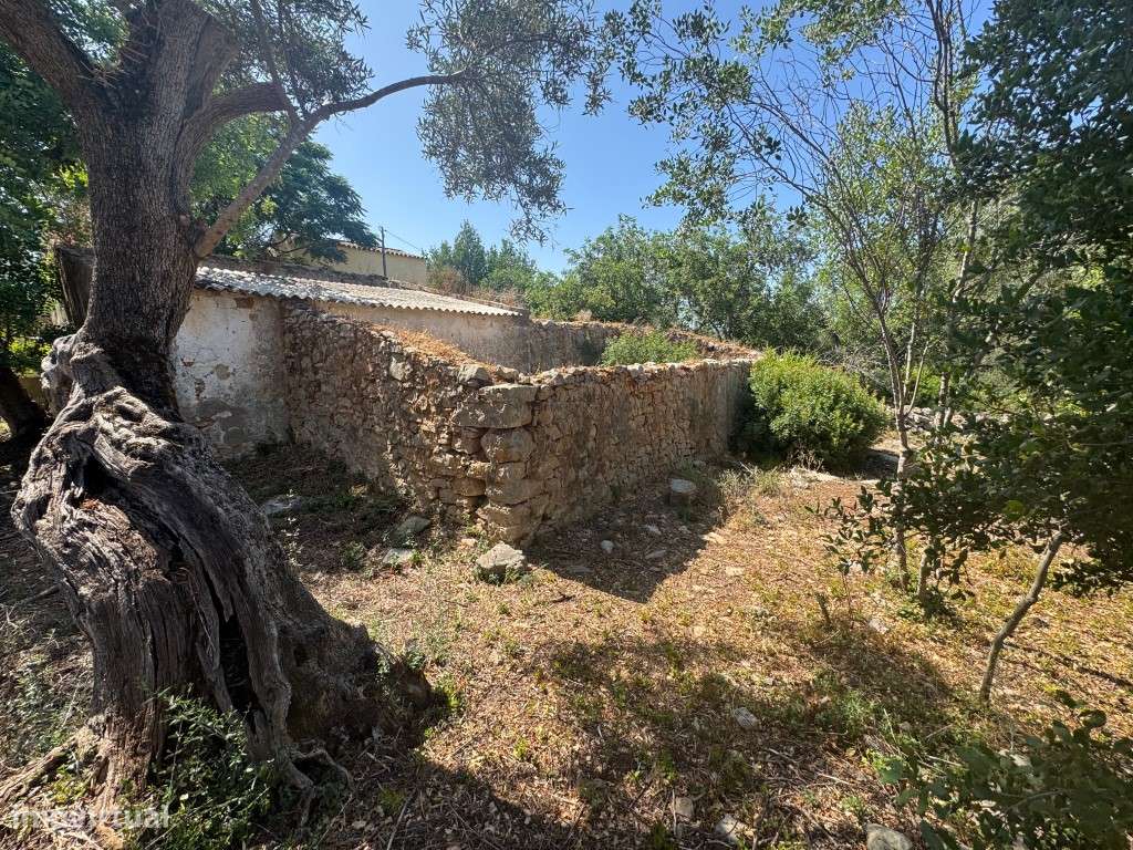 Terreno com 24.080 m², Ruínas e Moradia T2 em Madeira - Moncarapacho-10