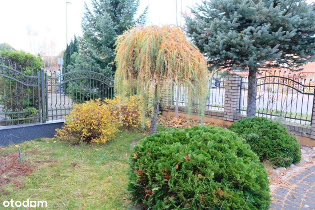 Dom skrajny szeregowiec-3