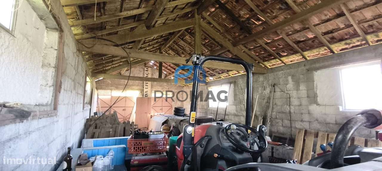 Quinta do Valado- Excelente Investimento em Resende-40