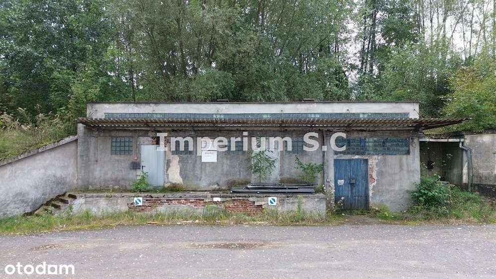 Niższa Cena ! Baza dla Twojej Firmy-2