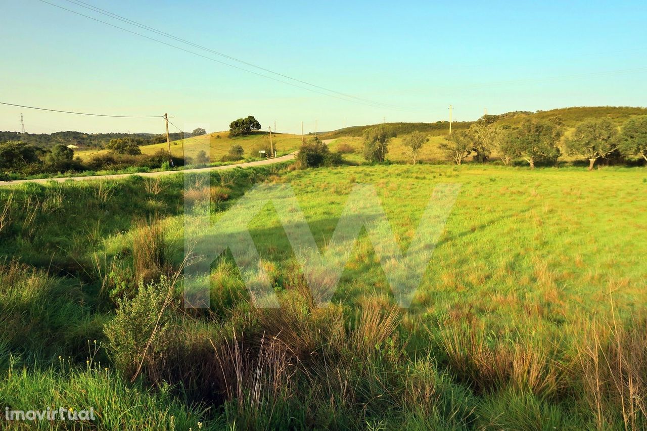 Terreno Rústico com 2880 m2 perto de São Bartolomeu de Messines