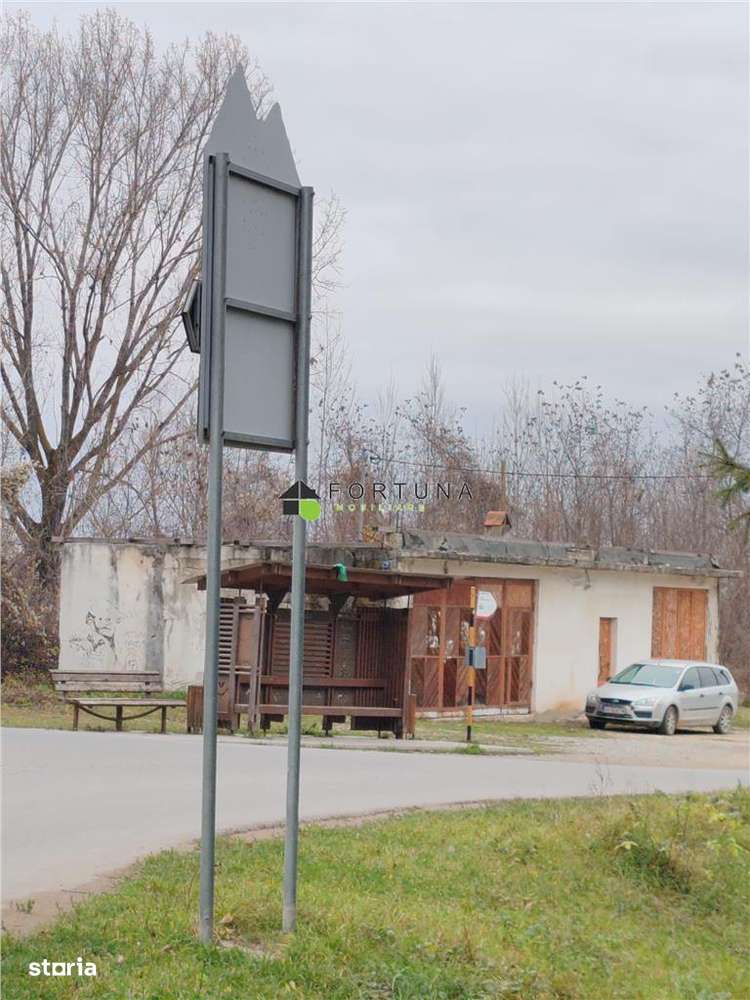 Casa , singur in curte la intrarea in ZIZIN-13