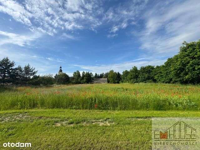 Kotowice-Działka-Las-blisko Wrocław/ Szewce - Pełny obrazek: 3/13