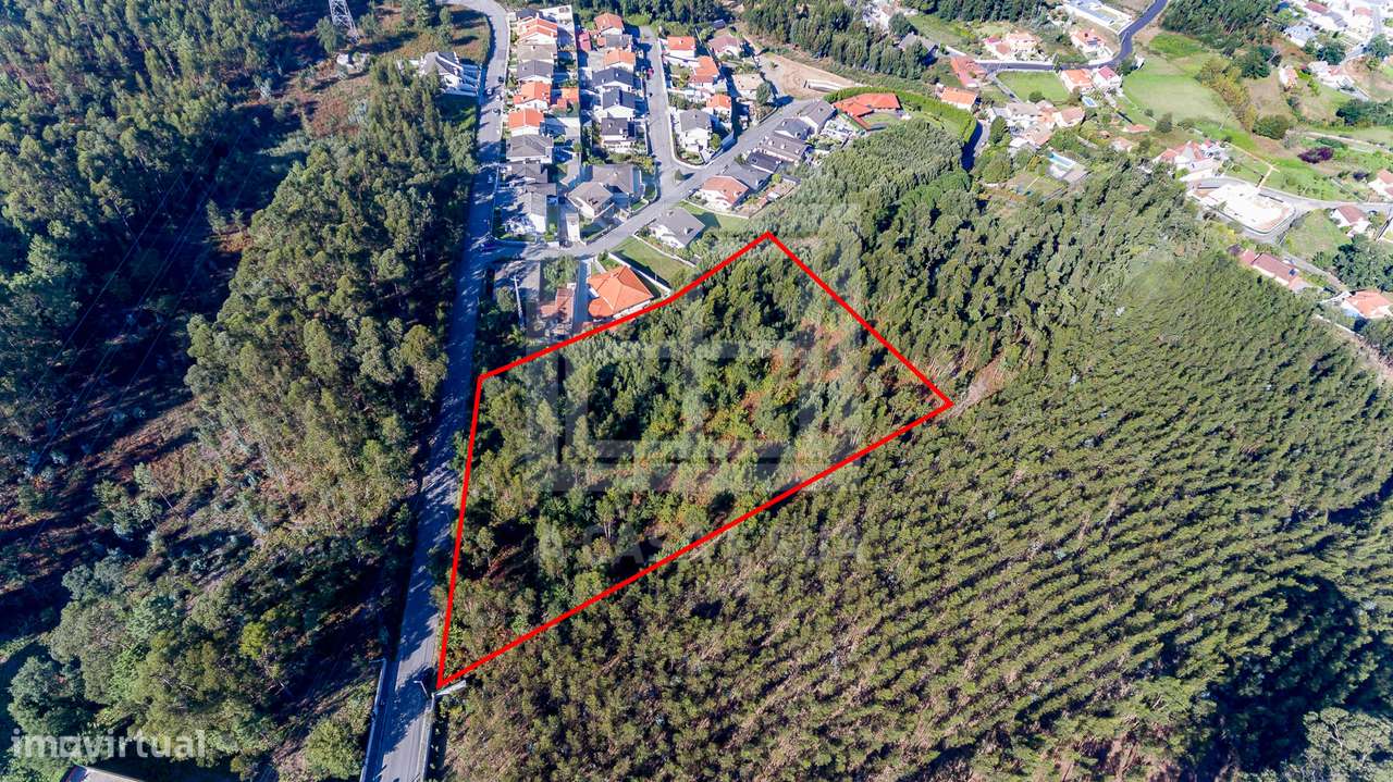 Terreno com 11.981 m2 em Caldas de São Jorge - Exclusivo - Grande imagem: 2/8