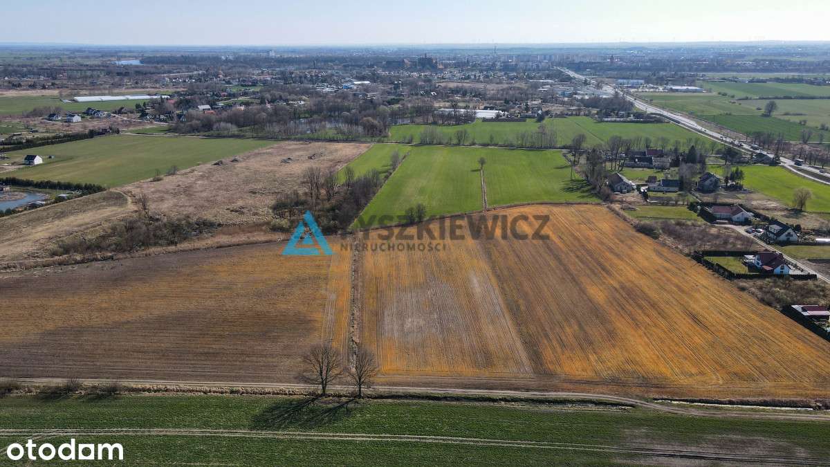 Działka rolna idealna pod uprawy - Cisy, Malbork - Pełny obrazek: 4/11