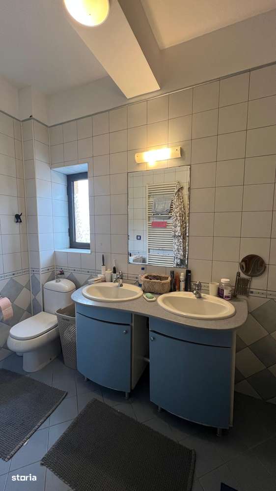 Vila Damaroaia - langa lacul Grivita-9