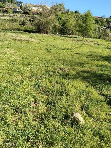 Terreno rústico com 2953 m2 com fácil acesso - Grande imagem: 4/7