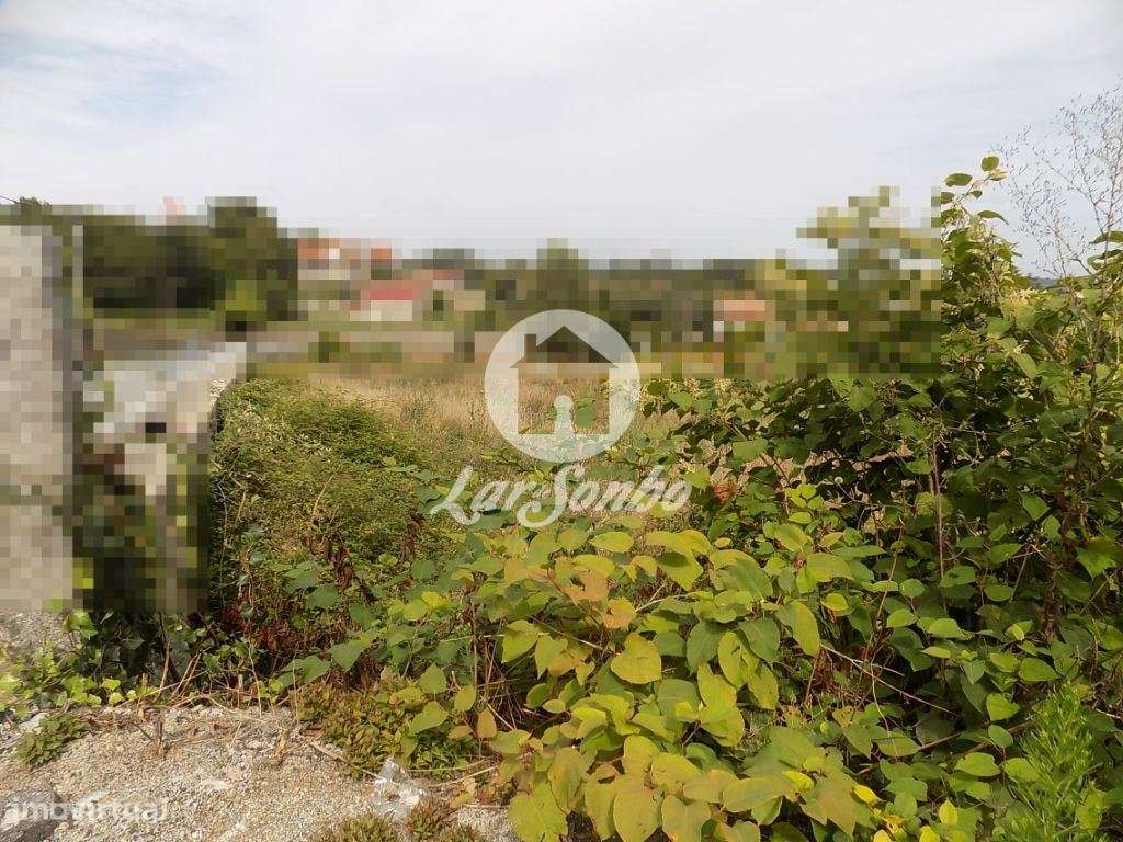 Terreno com 8.100 m2 - Sequeiro - Grande imagem: 3/4