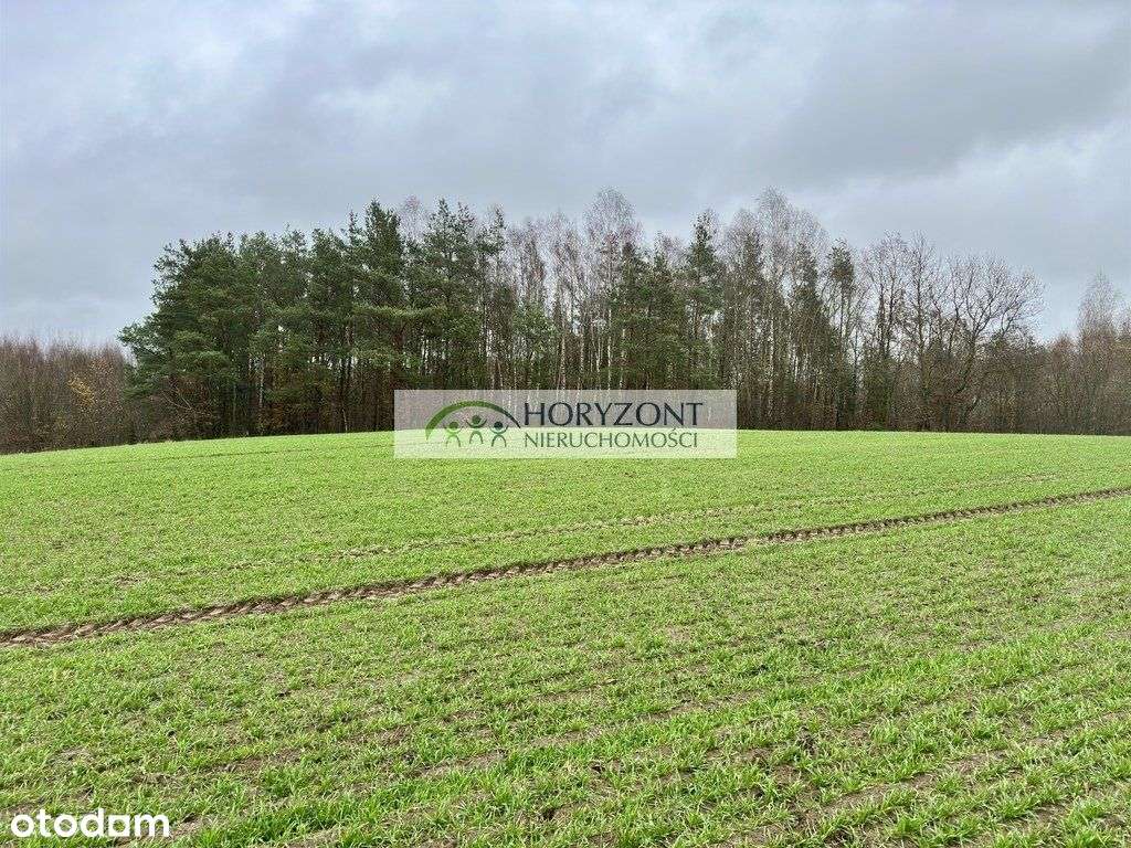 Miszewo - 2,1957ha - wydane Wz - nowa cena! - Pełny obrazek: 4/8