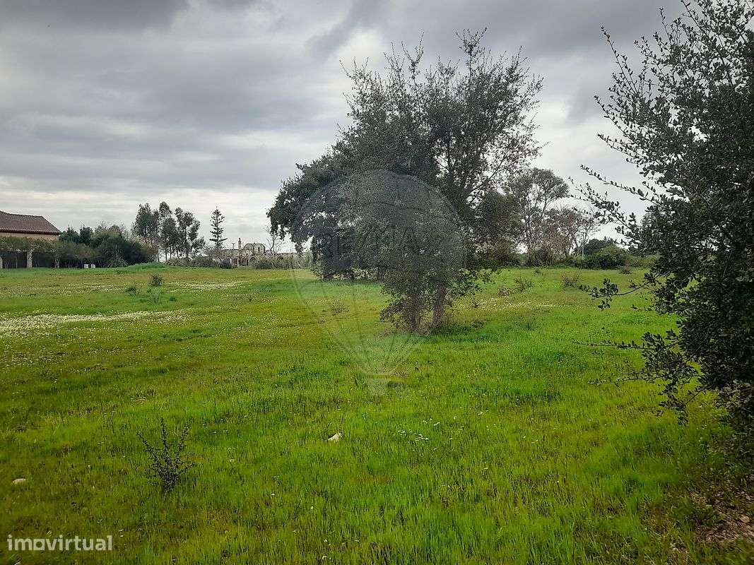 Terreno  para venda - Grande imagem: 5/14