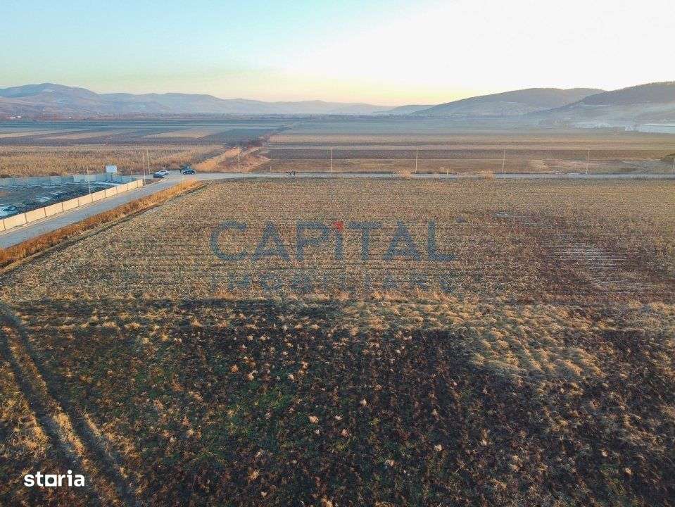 Teren Intravilan, 23.600mp,  str. Henri Coanda, in zona Industriala De - Imagine principală: 5/7